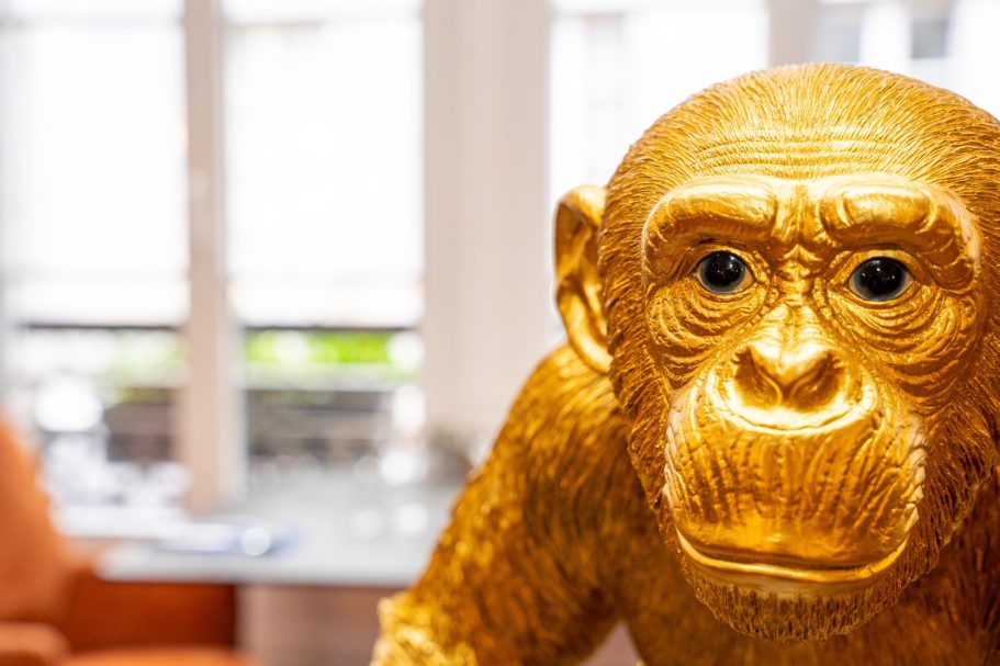 Décor 1er étage restaurant Besançon L'Y Gargotte Sculpture d'un singe en or, avec des détails réalistes et un fond lumineux.